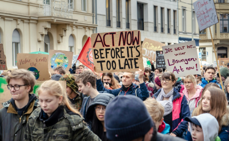 Representative institutions