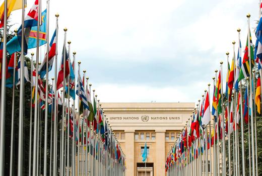 Photo by Mathias Reding on Unsplash